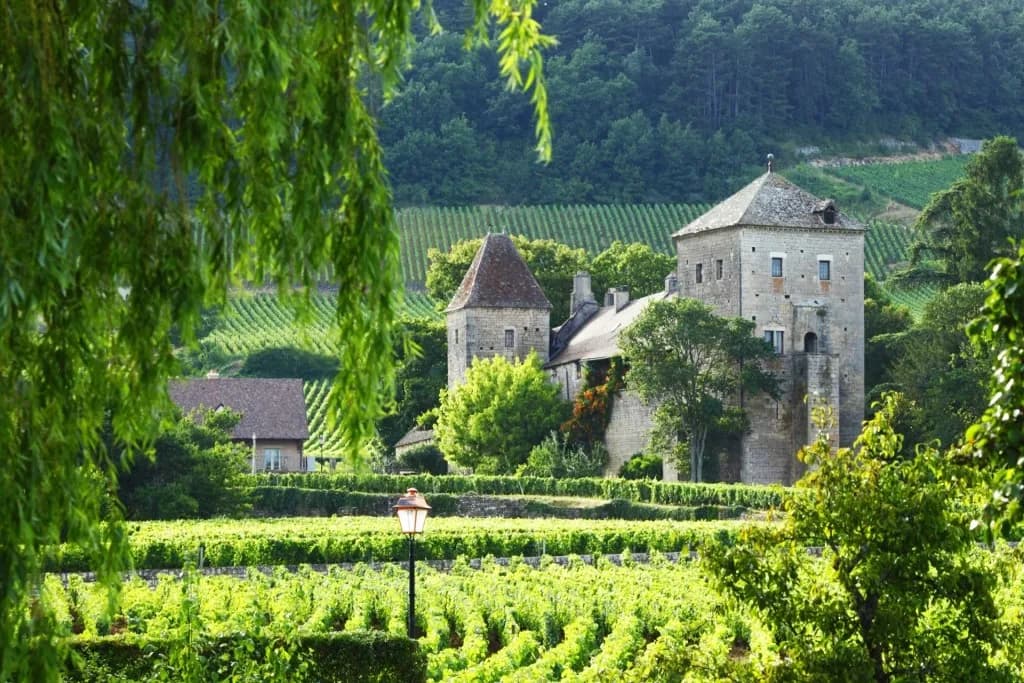Dijon - Burgund ab/bis Linz