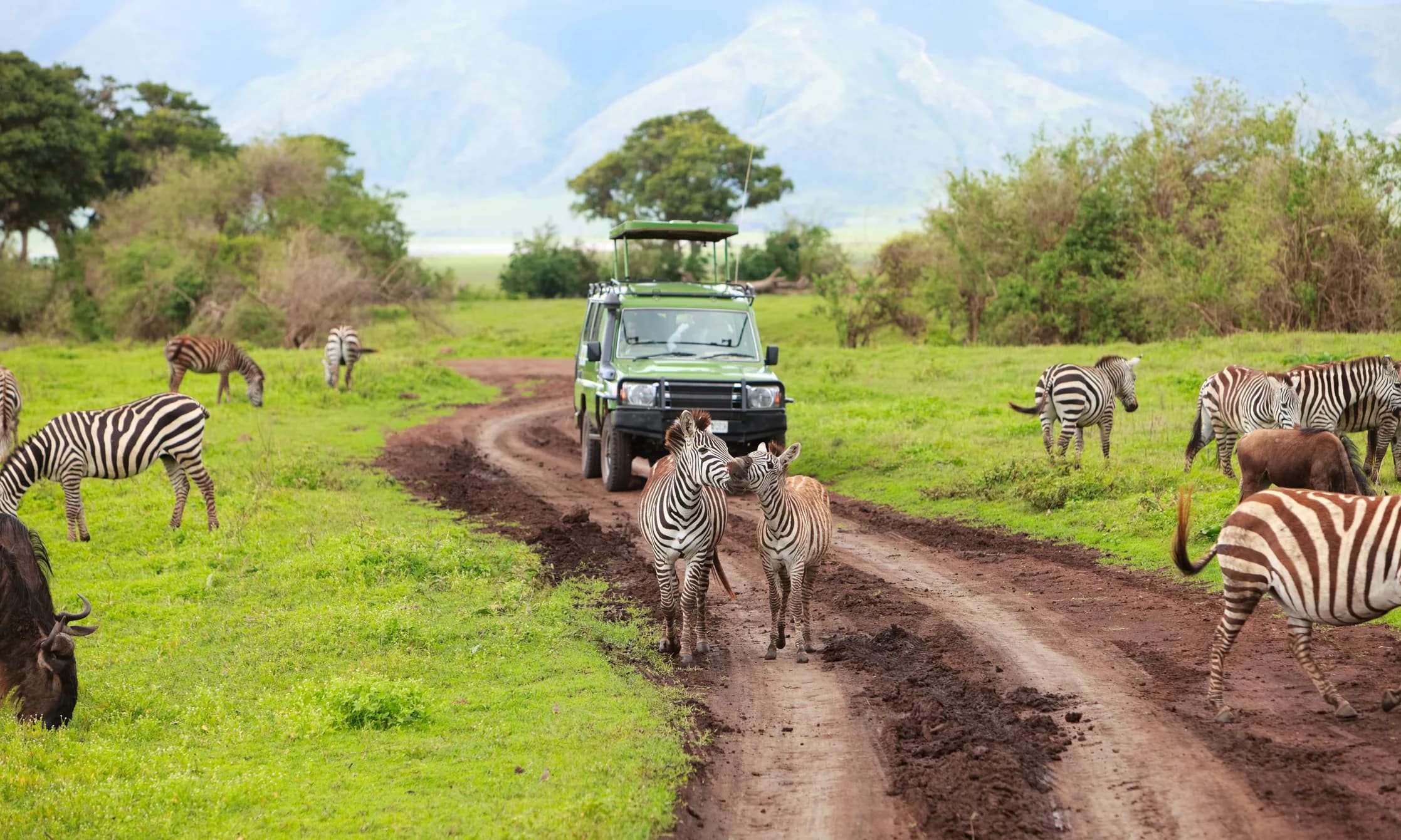 Faszinierende Masai Mara erleben und Erholung am Diani Beach