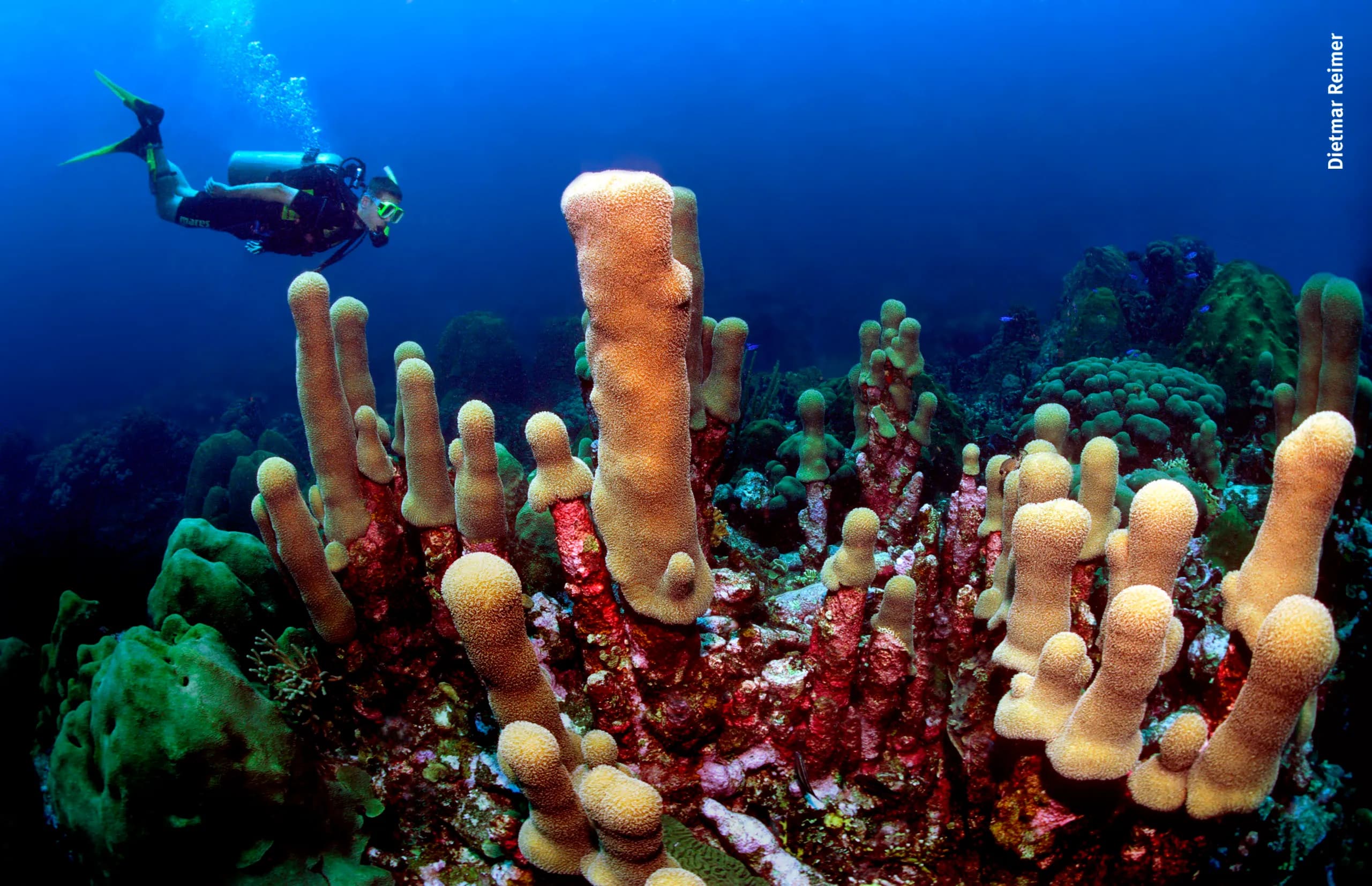 Sun Reef Village on Sea Curacao