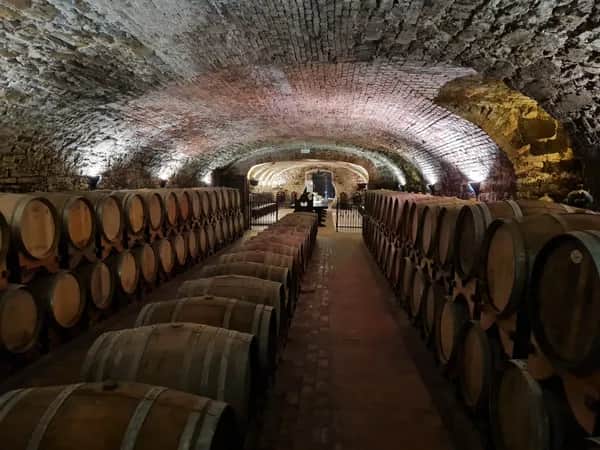 Wein- und Kulturreise Friaul