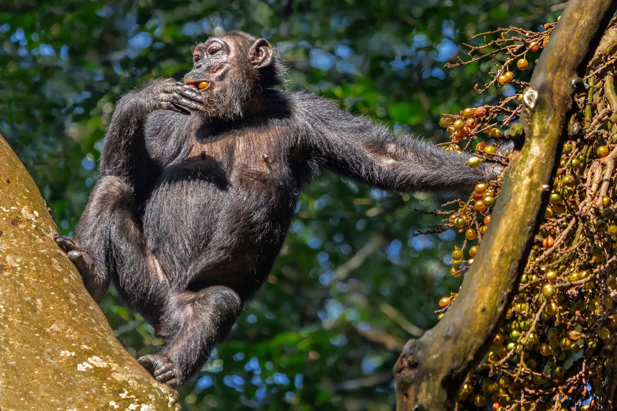 Rundreise Uganda