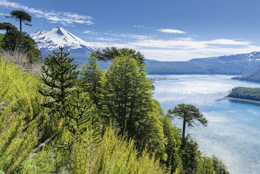 Naturwunder von Chile und Argentinien