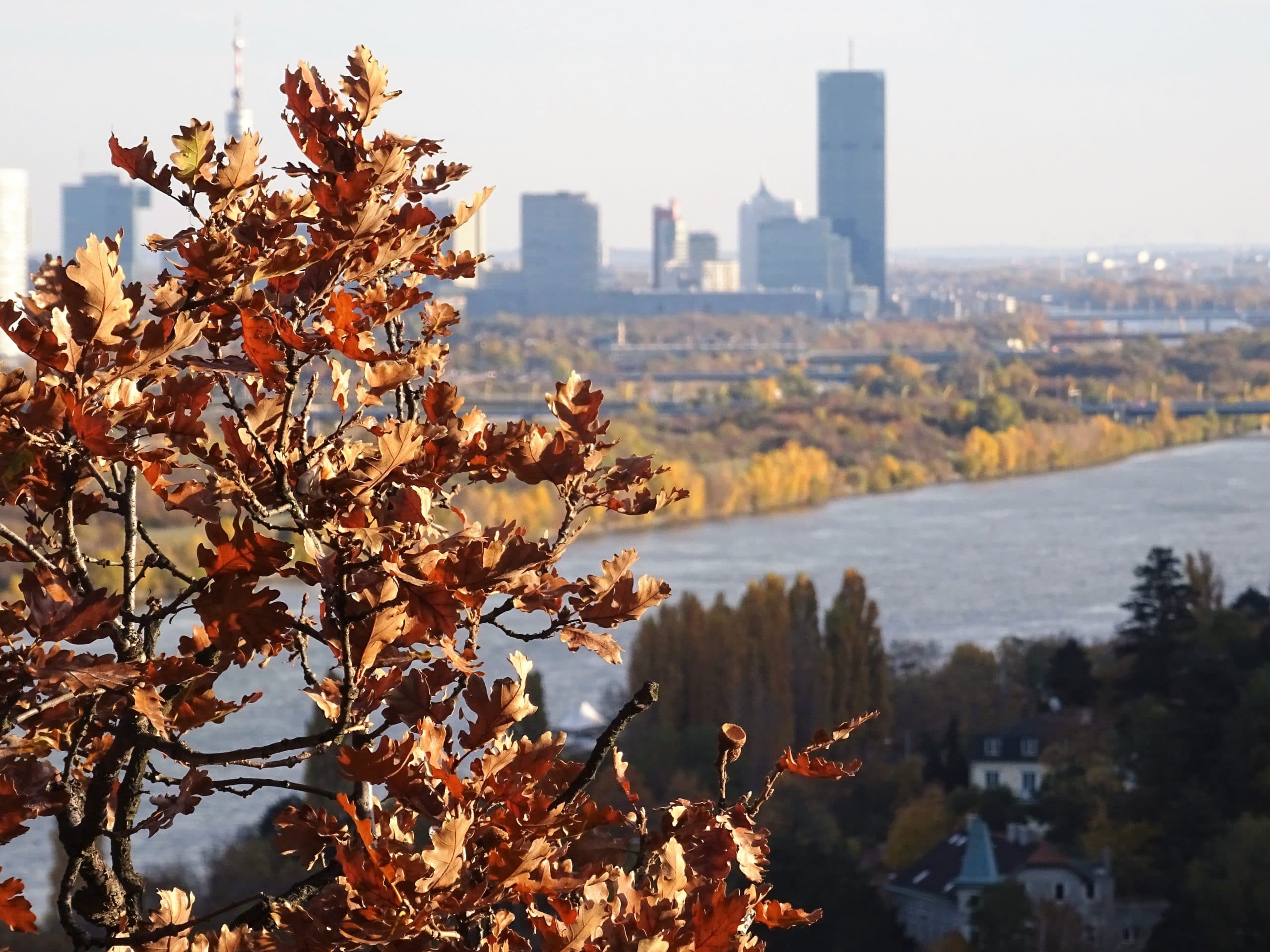 Bratislava - Schnupperreise