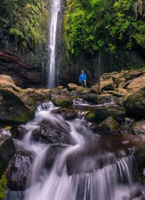 Die Blumeninsel Madeira