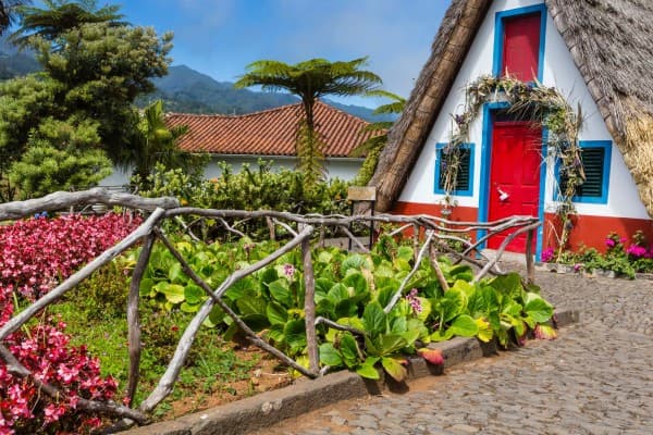 Die Blumeninsel Madeira