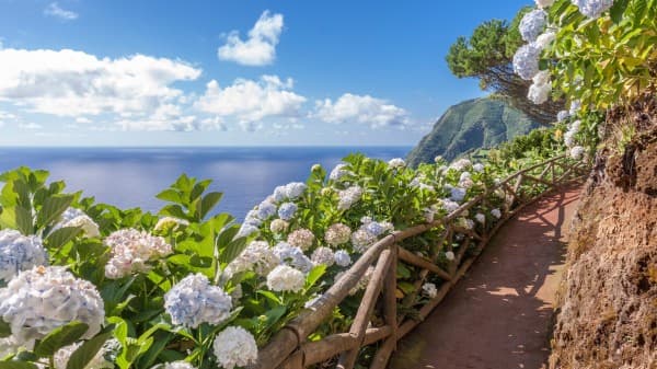 Inselerkundungen auf Sao Miguel