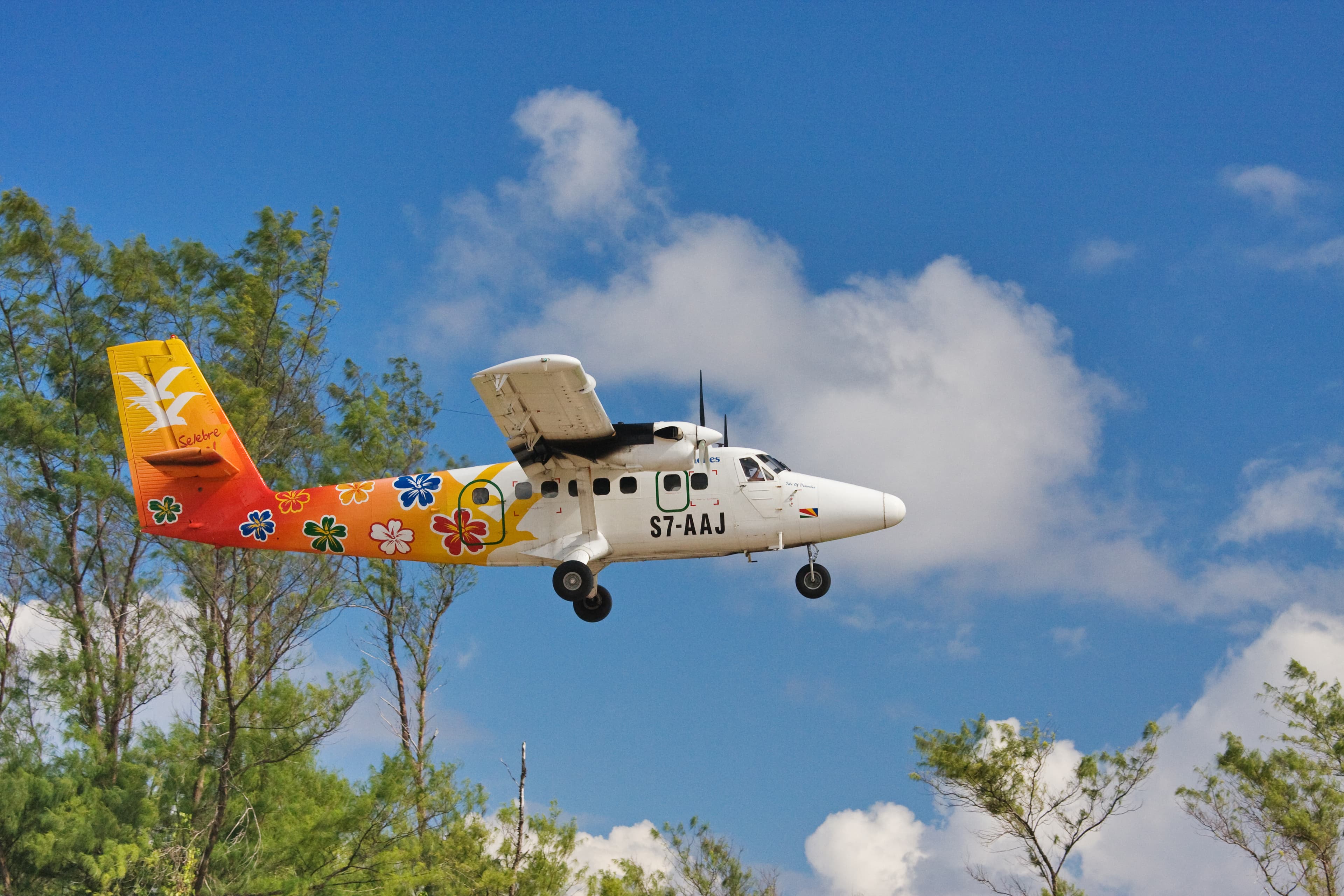 BIRD ISLAND LODGE - Bird Island